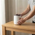 DreamSeal Volcano Mist Humidifier - Aroma Diffuser with Flame Light